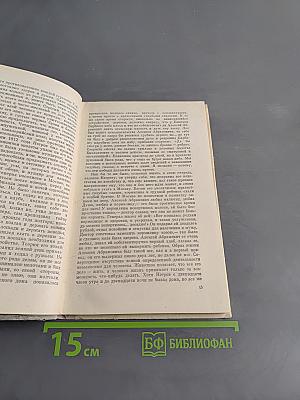 Кто виноват?