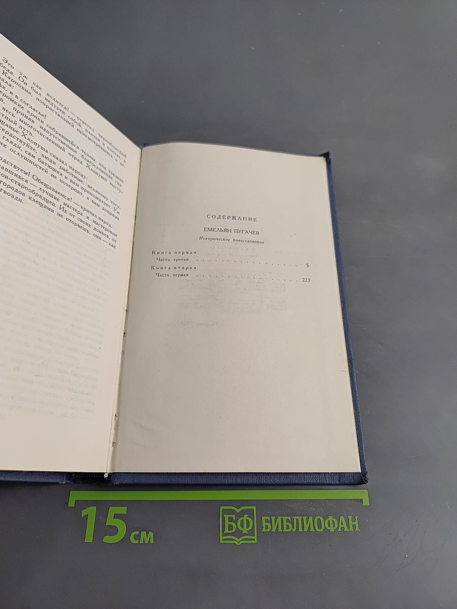 Собрание сочинений в десяти томах. Том 8. Емельян Пугачев. Историческое повествование