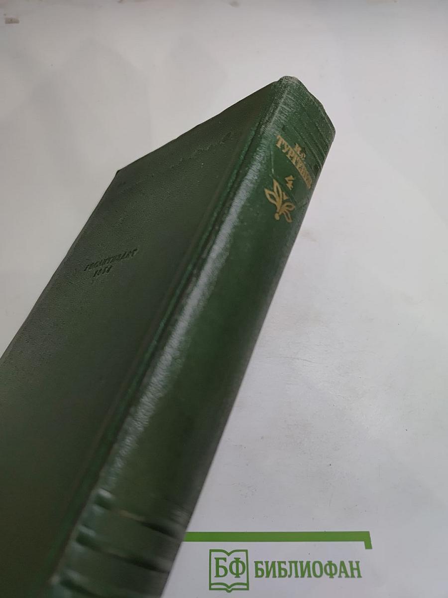 Собрание сочинений. Том четвертый. Дым. Новь