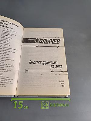 Томится душенька на зоне