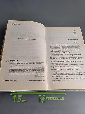 Томится душенька на зоне