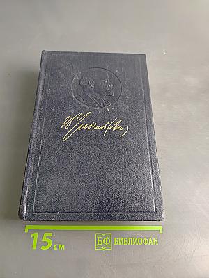 Полное собрание сочинений. Том 1. 1893-1894