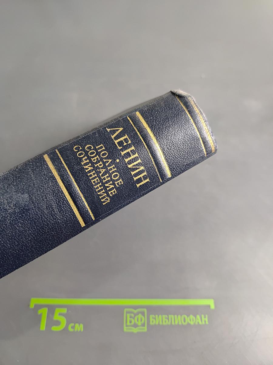 Полное собрание сочинений. Том 1. 1893-1894