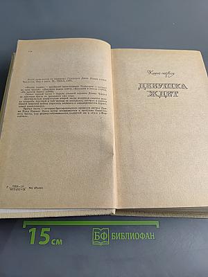 Конец главы