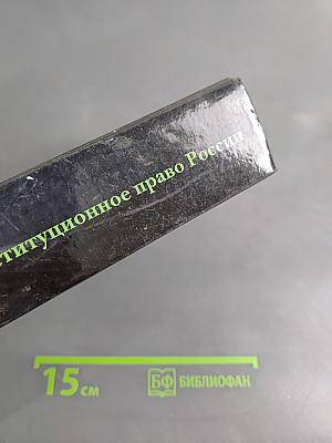 Конституционное право России. Учебный курс. Том 1
