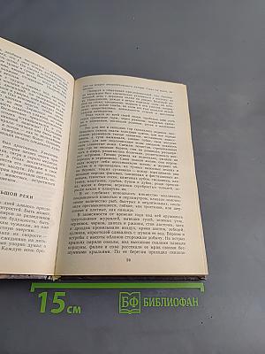 Борьба за огонь. Пещерный лев. Вамирэх