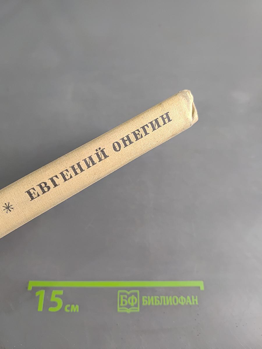Евгений Онегин