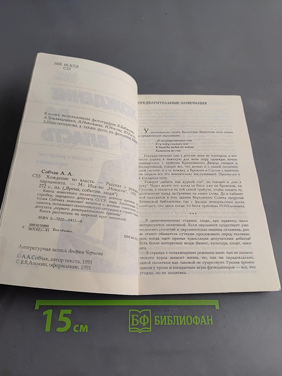 Хождение во власть