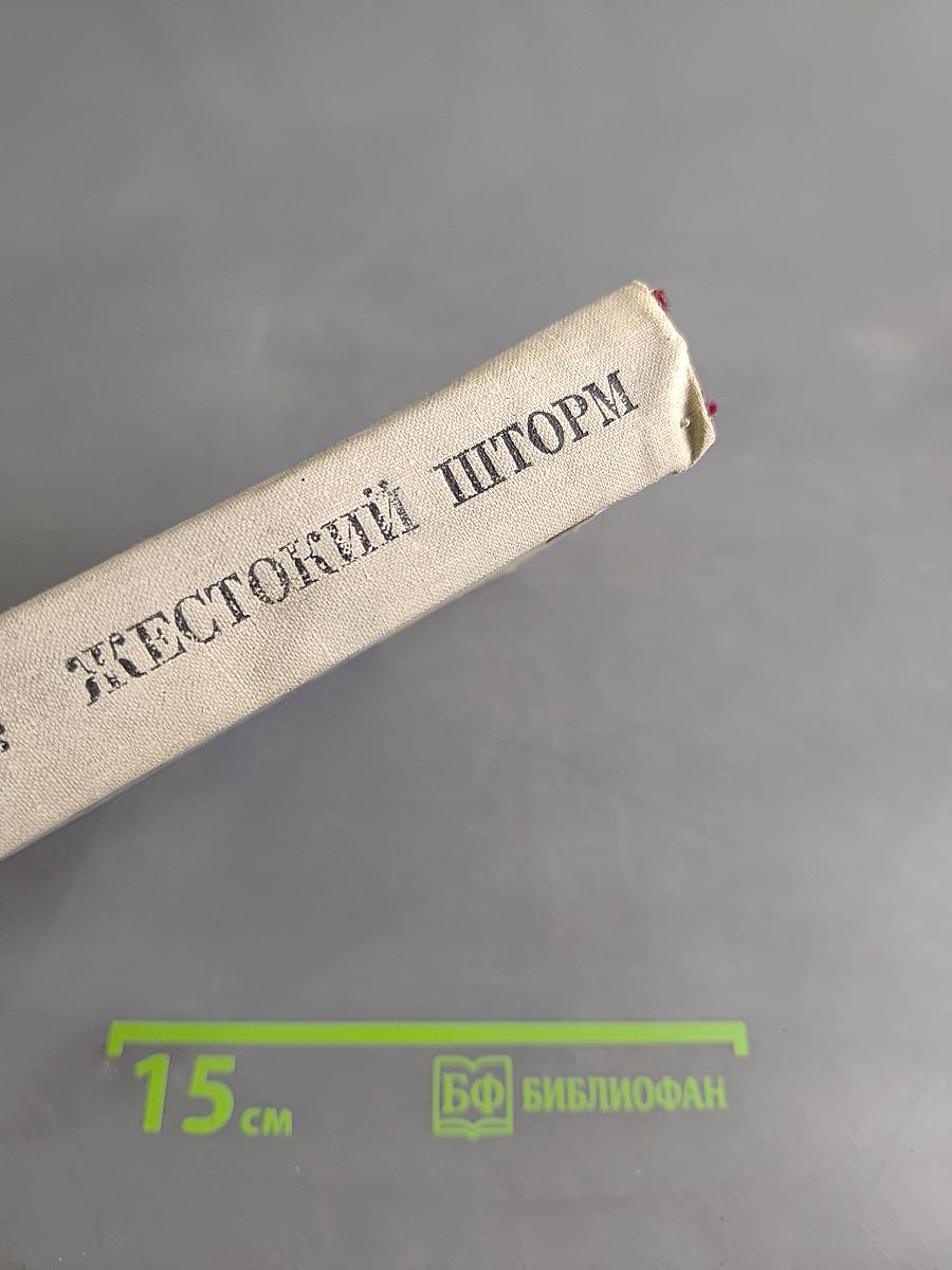 Жестокий шторм