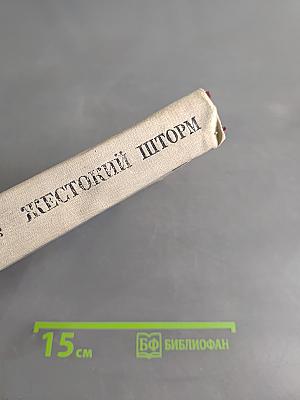 Жестокий шторм