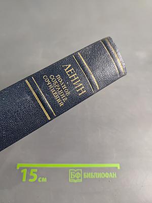 Полное собрание сочинений. Том 25