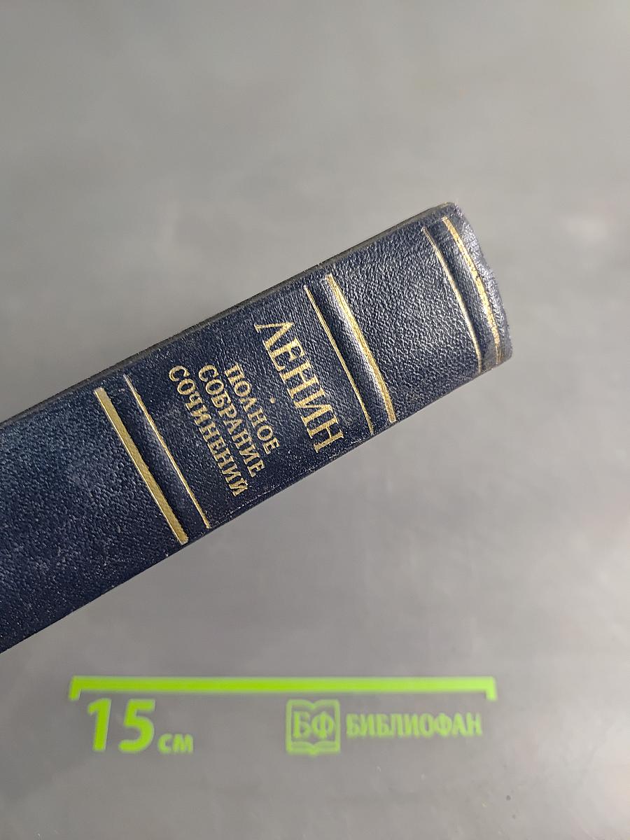 Полное собрание сочинений. Том 22