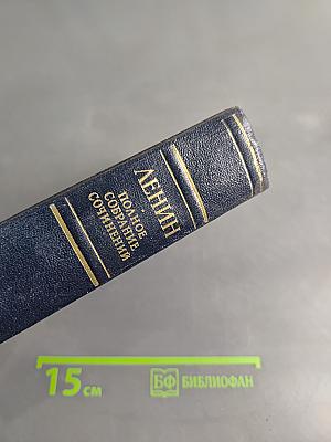 Полное собрание сочинений. Том 22