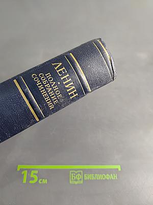 Полное собрание сочинений. Том 55. Письма к родным 1893 - 1922
