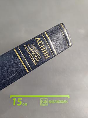 Полное собрание сочинений. Том 17