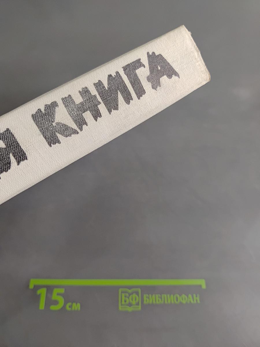 Блокадная книга