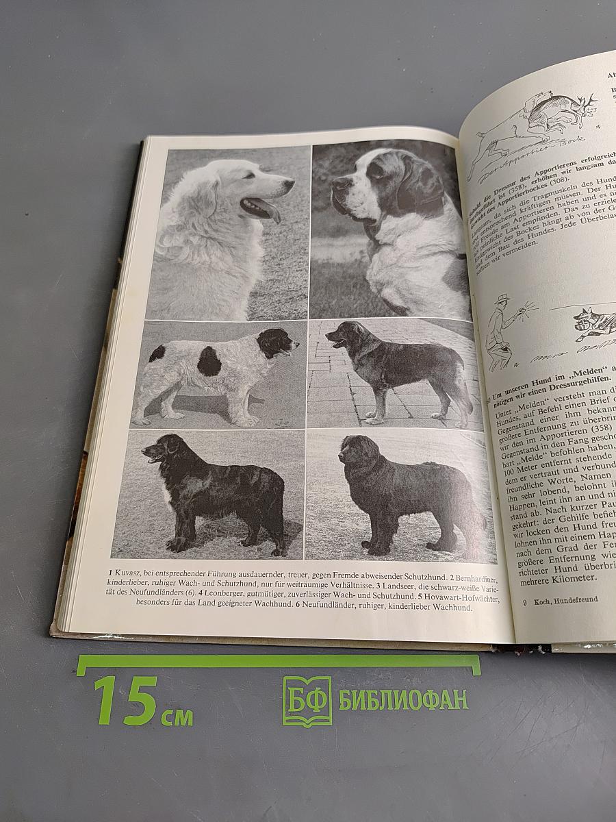 400 Ratschläge für den Hundefreund