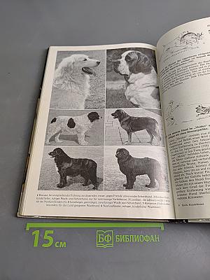 400 Ratschläge für den Hundefreund