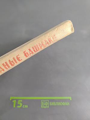 Кожаные башмаки