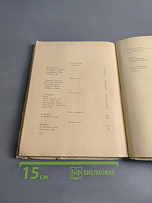 Крепостной художник