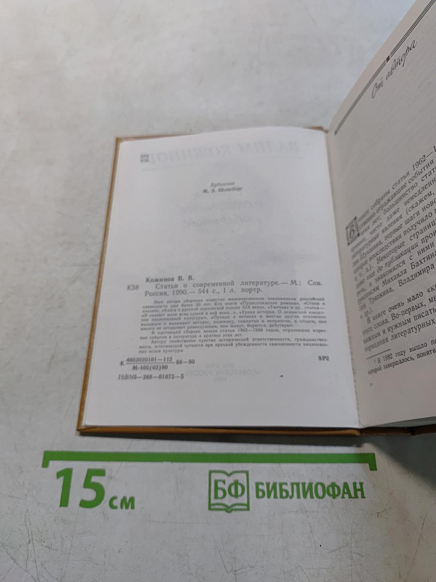 Статьи о современной литературе
