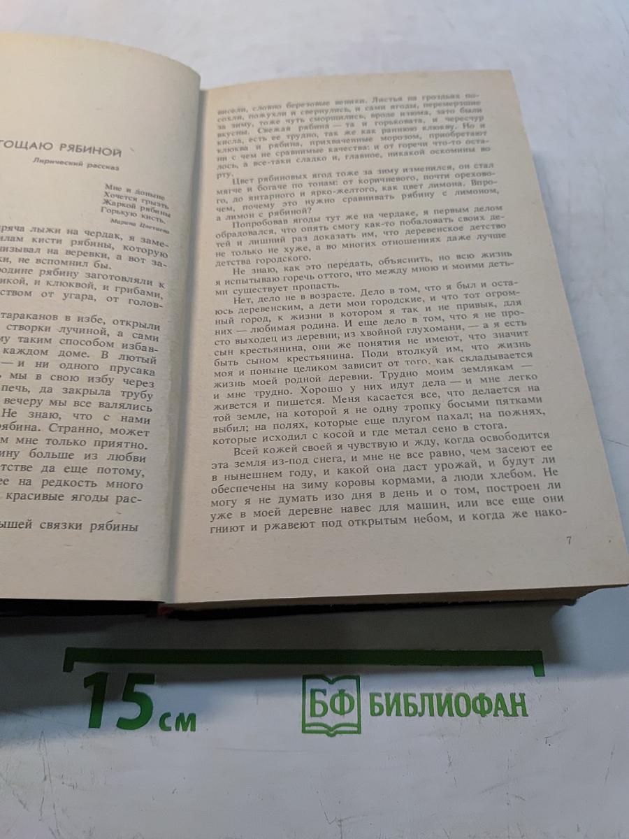 Угощаю рябиной