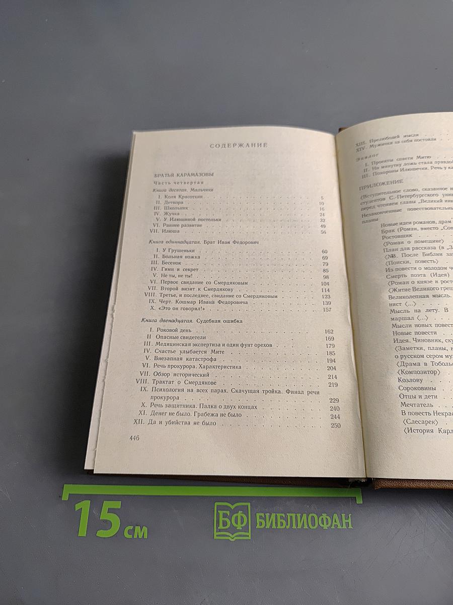 Собрание сочинений в 15-ти томах. Том десятый. Братья Карамазовы. Незаконченные повествовательные произведения. Стихотворения и стихотворные наброски
