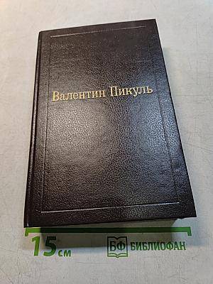 Слово и дело. Книга вторая. Мои любезные конфиденты