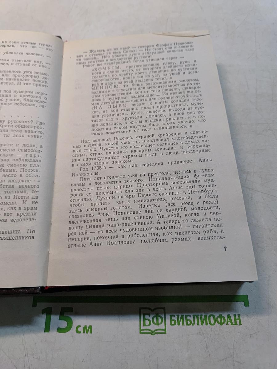 Слово и дело. Книга вторая. Мои любезные конфиденты