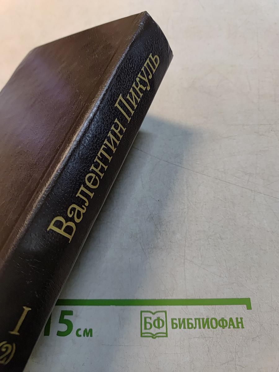 Слово и дело. Книга вторая. Мои любезные конфиденты