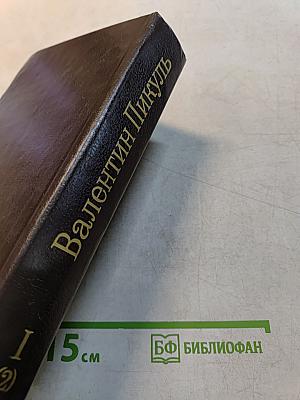Слово и дело. Книга вторая. Мои любезные конфиденты