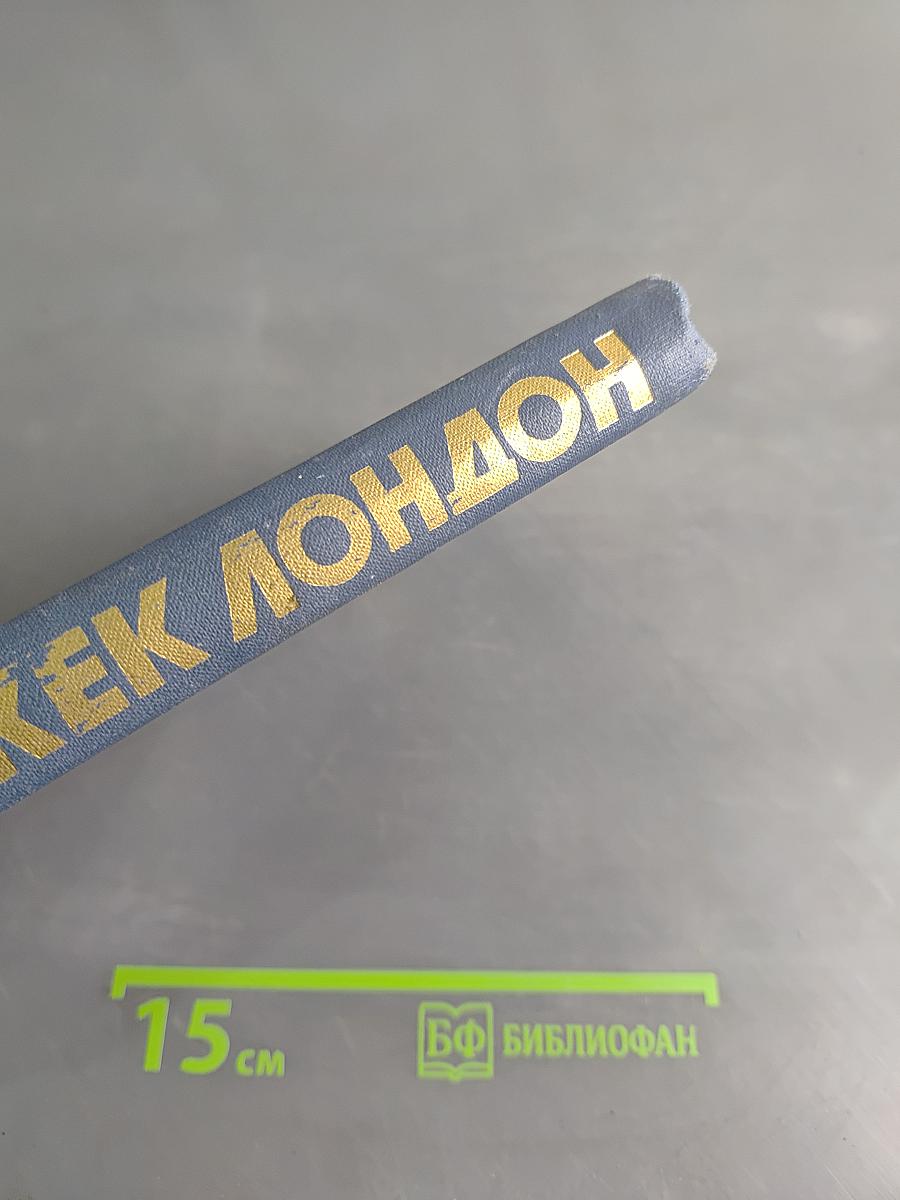 Собрание сочинений в тринадцати томах. Том 6