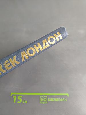 Собрание сочинений в тринадцати томах. Том 6