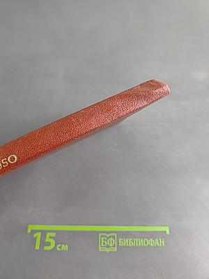 Diccionario Manual Español-Ruso