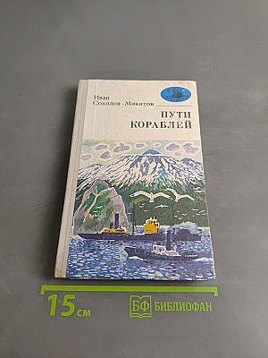 Пути кораблей