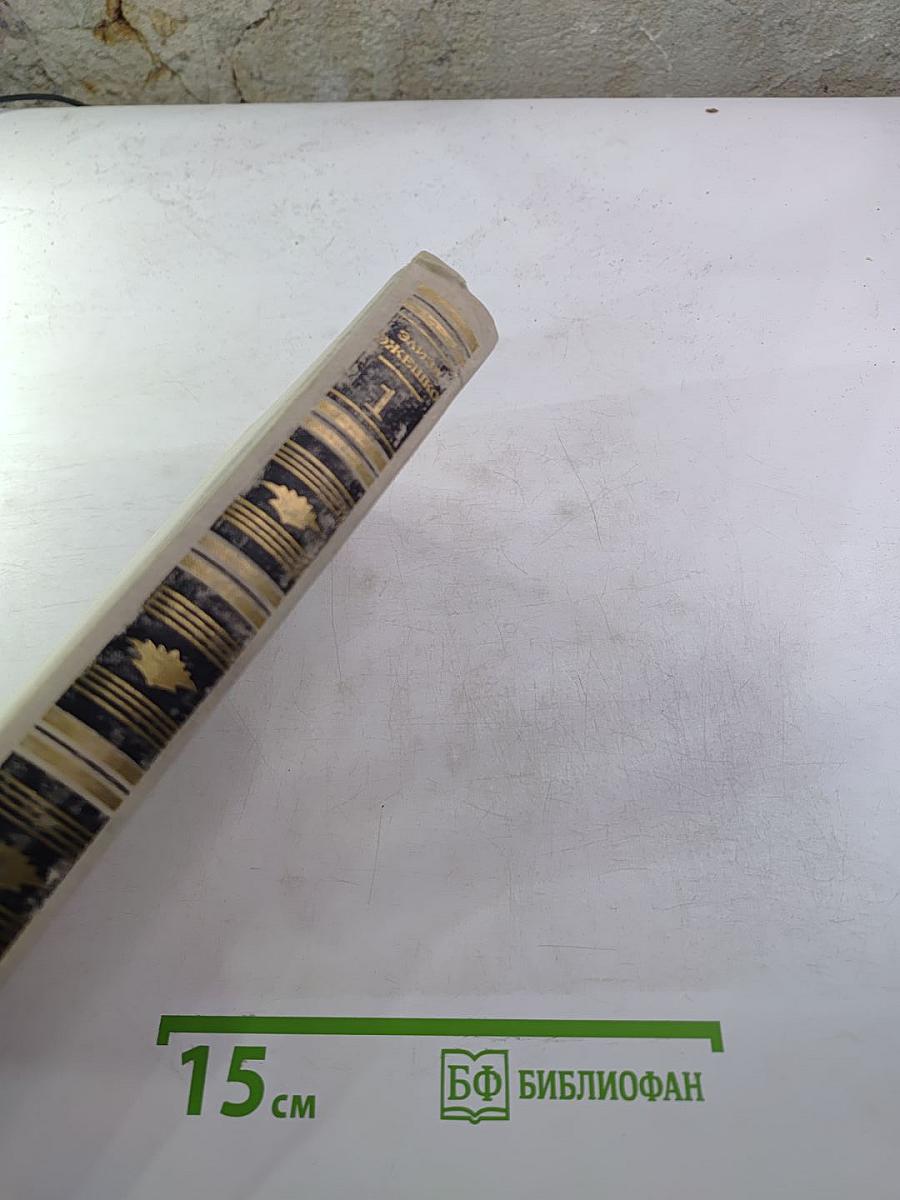 Элиза Ожешко. Собрание сочинений в шести томах. Том 1: Посвящения, Любовь в провинции