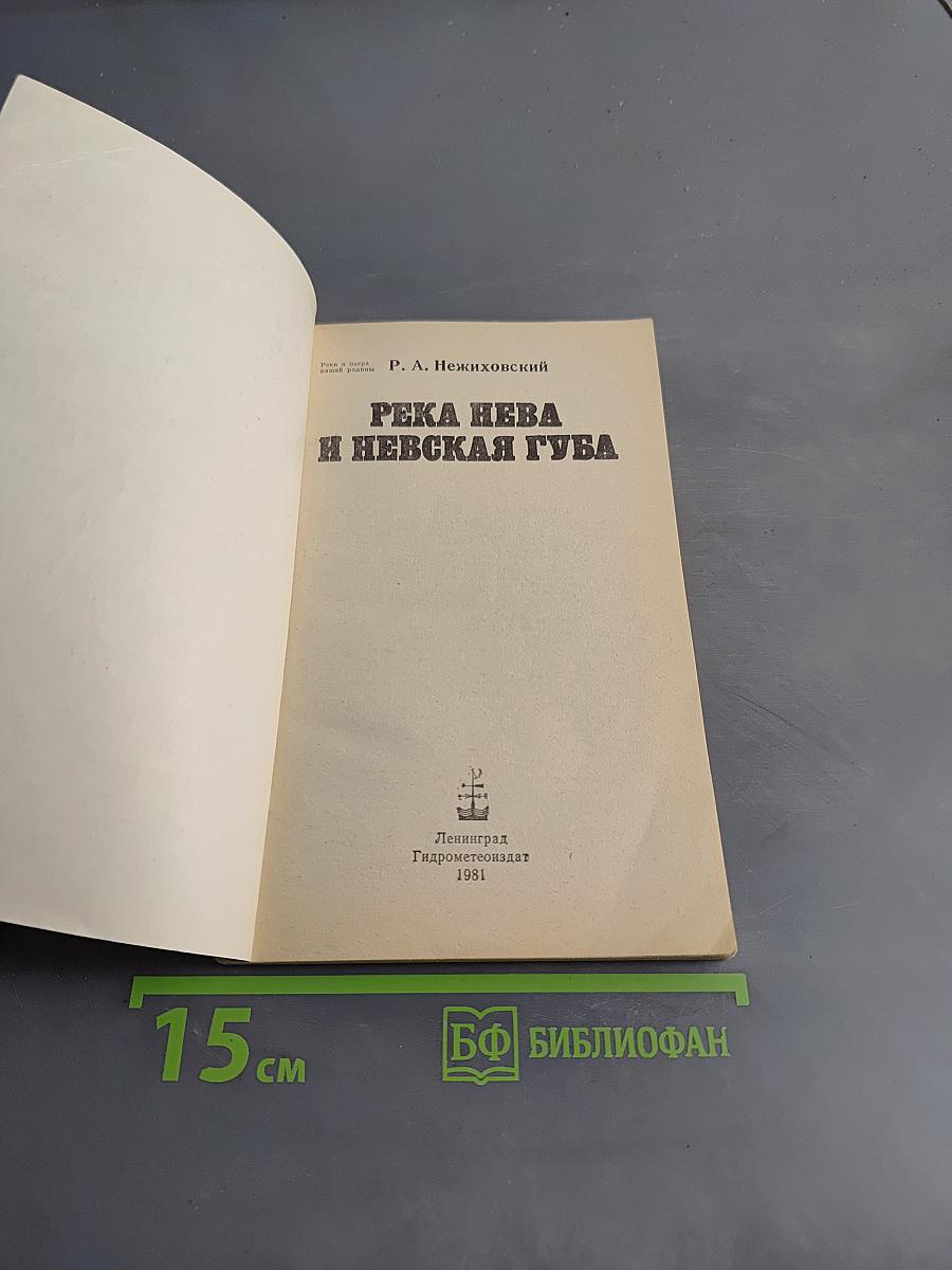 Река Нева и Невская губа