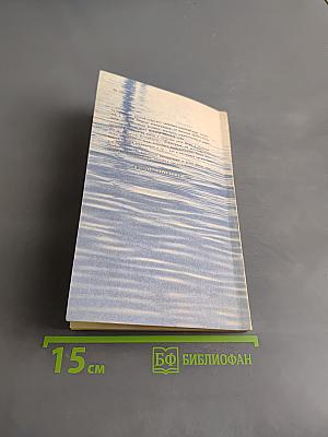 Река Нева и Невская губа