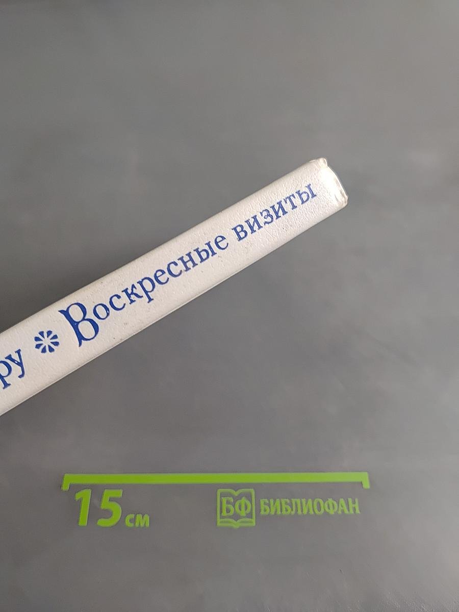 Воскресные визиты