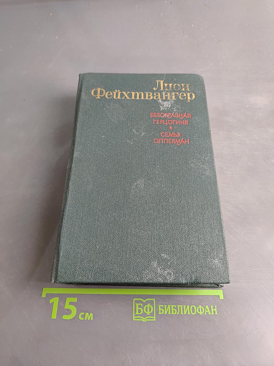 Безобразная герцогиня. Семья Опперман