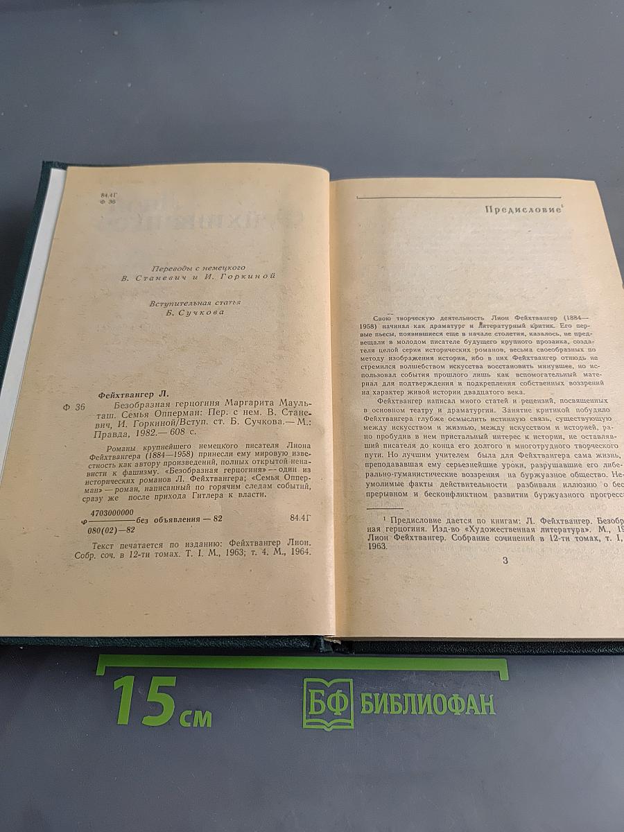 Безобразная герцогиня. Семья Опперман
