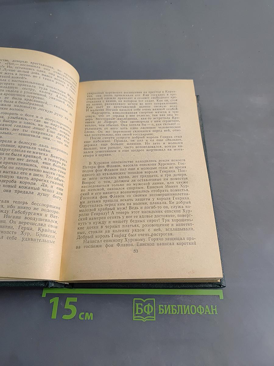 Безобразная герцогиня. Семья Опперман