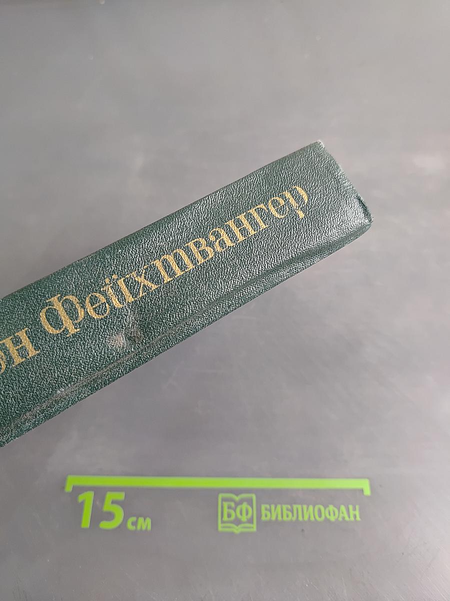 Безобразная герцогиня. Семья Опперман