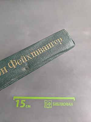 Безобразная герцогиня. Семья Опперман