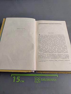 Следопыт
