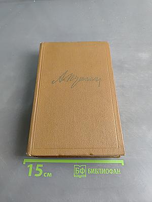 Собрание сочинений. Том десятый. Письма 1831-1837