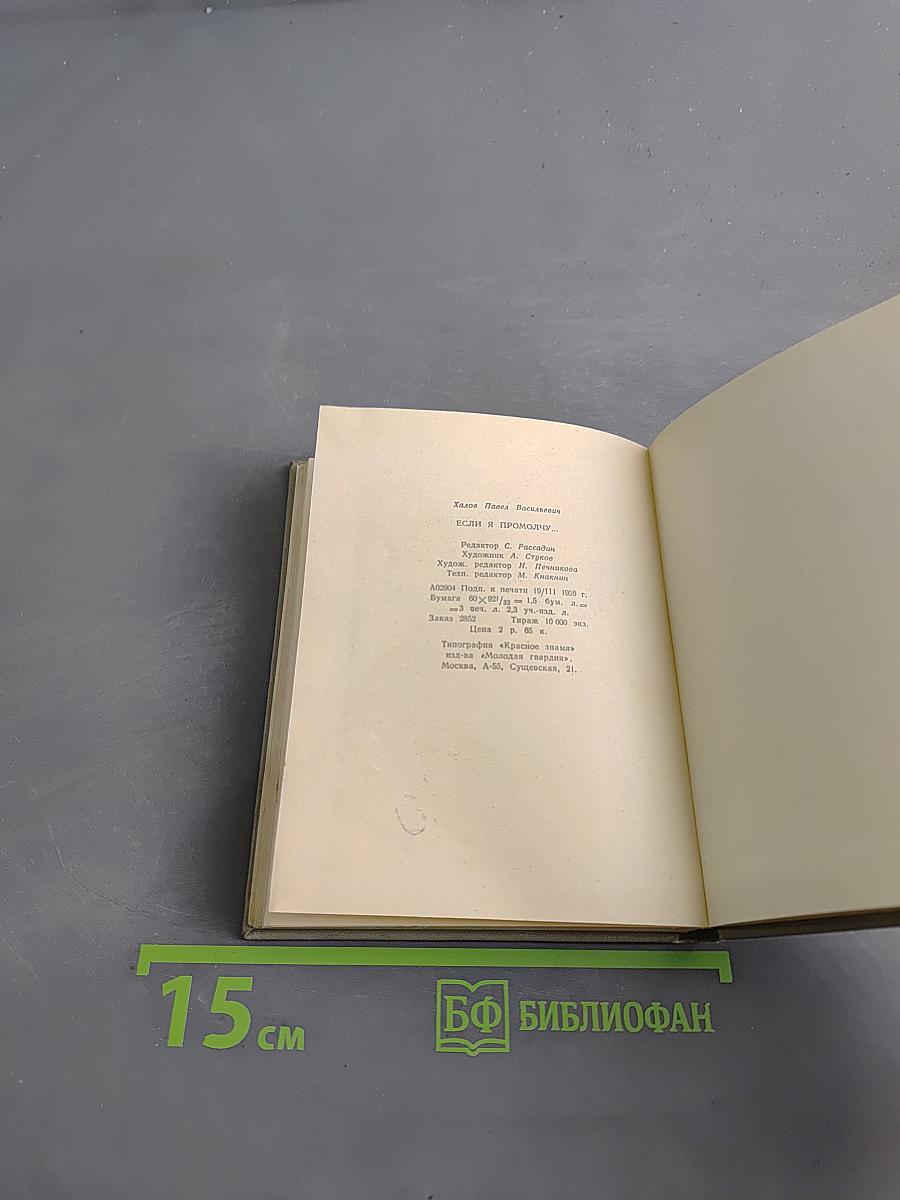 Если я промолчу
