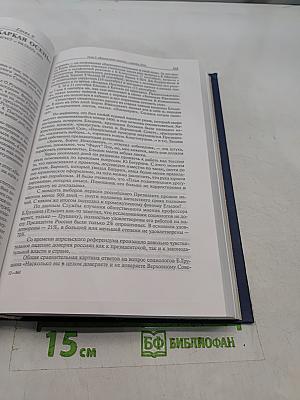 Эпоха Ельцина. Очерки политической истории