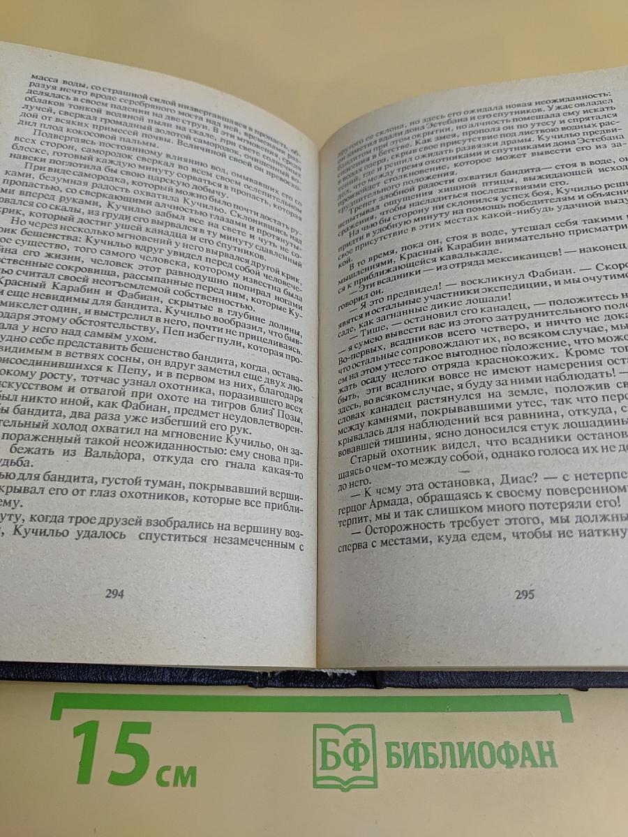 Лесной Бродяга