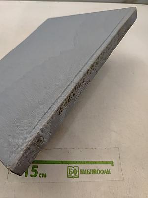 Живопись. Графика. Скульптура XVIII–XX вв. Музей-квартира И. И. Бродского